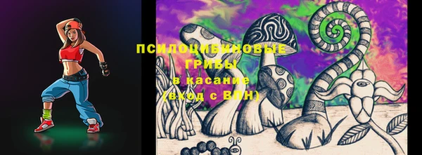амф Михайловск