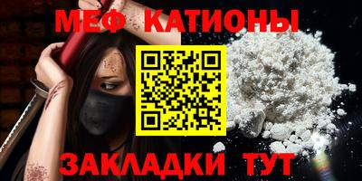мдпв Кингисепп