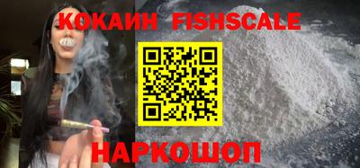 мдпв Кингисепп