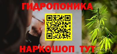 ПСИЛОЦИБИНОВЫЕ ГРИБЫ Кинель