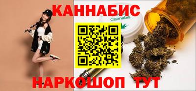 мдпв Кингисепп