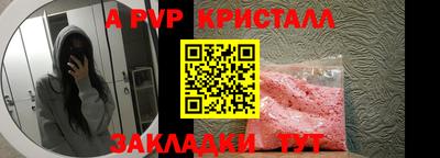 мдпв Кингисепп