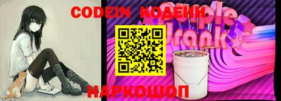 мдпв Кингисепп
