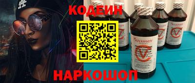 мдпв Кингисепп