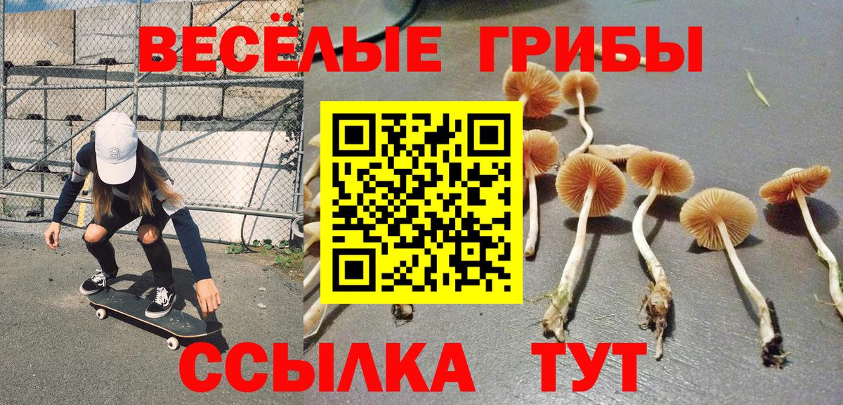 купить наркоту  Галлюциногенные грибы Cubensis  Вход с VPN  Галлюциногенные грибы Cubensis  Чистополь 
