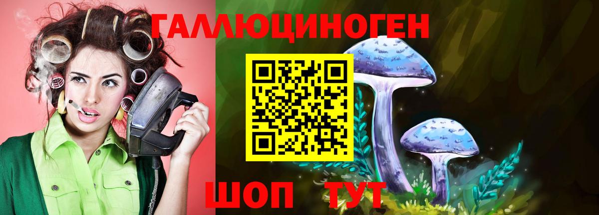 Галлюциногенные грибы MAGIC MUSHROOMS Чистополь